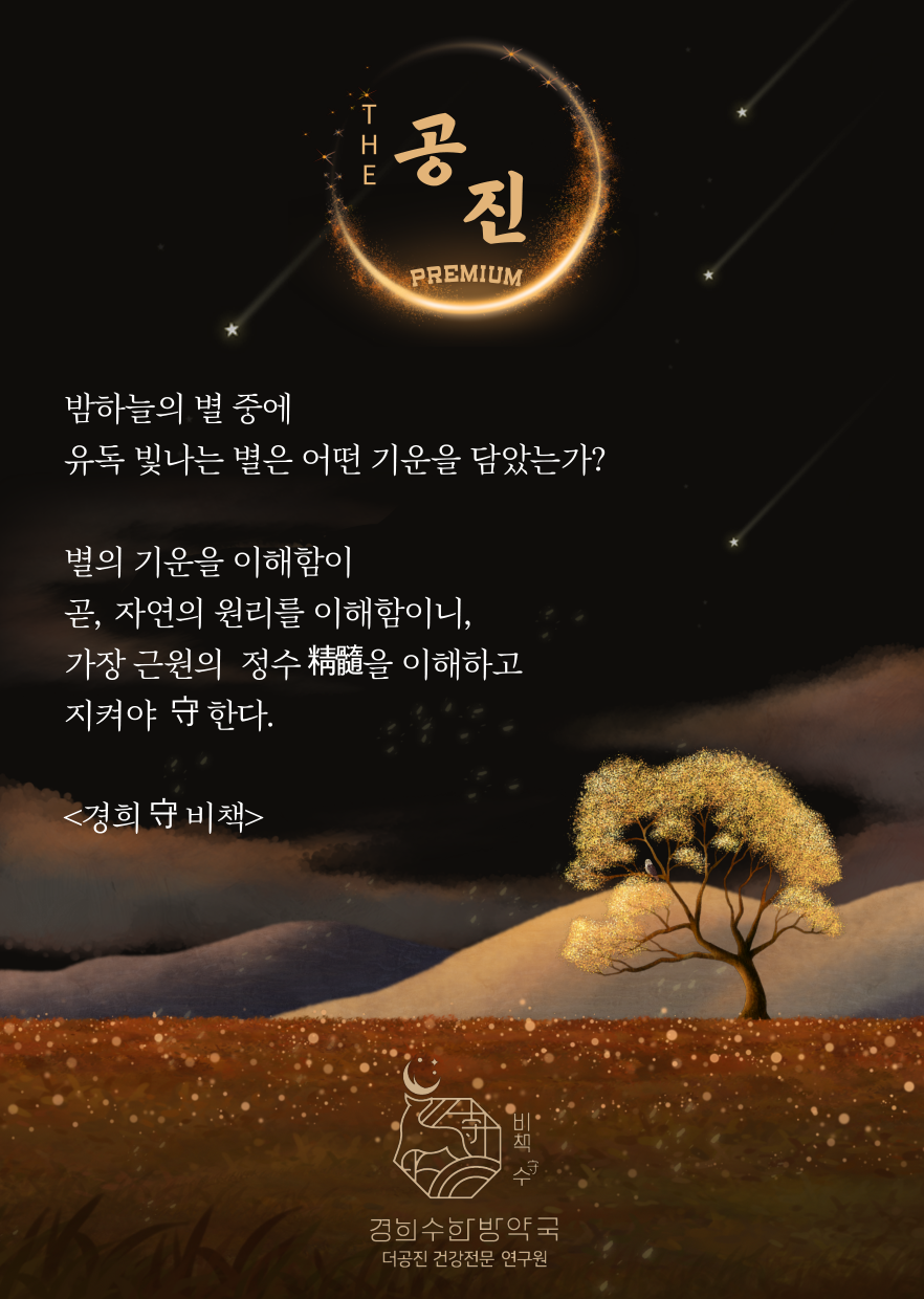 더공진 프리미엄